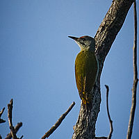 2025-09-15 08-36-29 113055000543