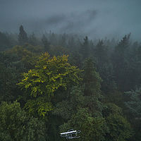 2025-09-25 12-41-06 113055000543