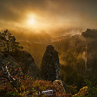 2025-09-03 06-56-25 113055000543