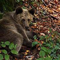 2025-09-09 14-31-58 113055000543 1