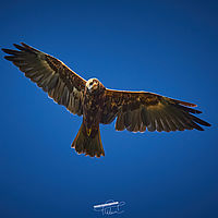 2025-09-15 09-56-15 113055000543