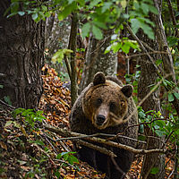 2025-09-09 14-02-25 113055000543 1