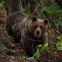 2025-09-09 14-02-43 113055000543