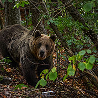 2025-09-09 14-02-45 113055000543