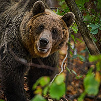 2025-09-09 14-02-51 113055000543