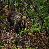 2025-09-09 14-03-05 113055000543 1