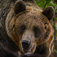 2025-09-09 14-03-59 113055000543