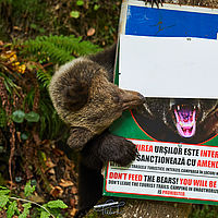 2025-09-09 14-31-22 113055000543