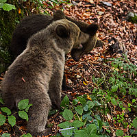 2025-09-09 14-32-03 113055000543 1