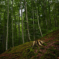 2025-09-10 11-11-52 113055000543