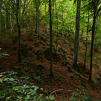 2025-09-10 11-24-57 113055000543