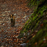 2025-09-10 11-55-48 113055000543