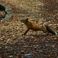 2025-09-10 11-55-58 113055000543