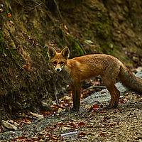 2025-09-10 11-56-28 113055000543