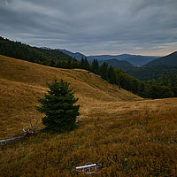 2025-09-11 10-46-22 113055000543