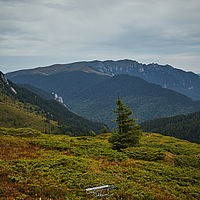 2025-09-11 11-59-00 113055000543