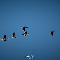 2025-09-14 18-39-54 113055000543