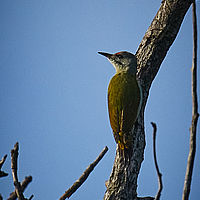 2025-09-15 08-36-29 113055000543