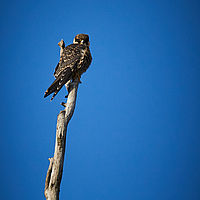 2025-09-15 08-43-37 113055000543 1