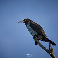 2025-09-15 08-46-37 113055000543