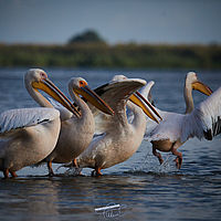 2025-09-15 08-49-04 113055000543 2