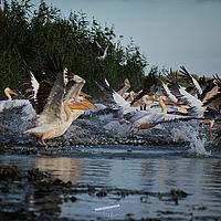 2025-09-15 08-49-08 113055000543