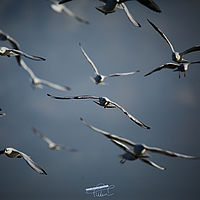 2025-09-15 08-56-41 113055000543