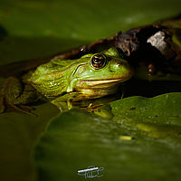 2025-09-15 09-23-21 113055000543