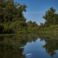 2025-09-15 09-51-32 113055000543