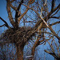 2025-09-15 09-51-59 113055000543