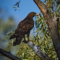 2025-09-15 09-54-39 113055000543