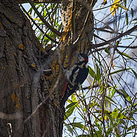 2025-09-15 09-59-01 113055000543 3