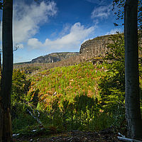 2025-09-03 10-38-37 113055000543