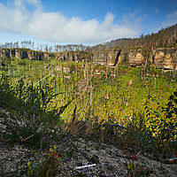 2025-09-03 10-46-01 113055000543