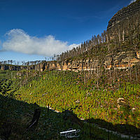 2025-09-03 10-48-27 113055000543