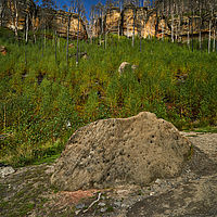 2025-09-03 10-56-13 113055000543