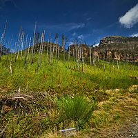 2025-09-03 10-57-55 113055000543