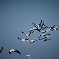 2025-09-15 10-14-12 113055000543 1