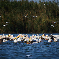 2025-09-15 10-17-21 113055000543