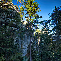 2025-09-04 08-56-55 113055000543