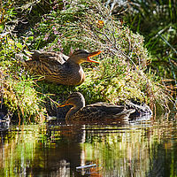 2025-09-04 10-02-46 113055000543