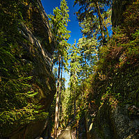 2025-09-04 10-07-47 113055000543