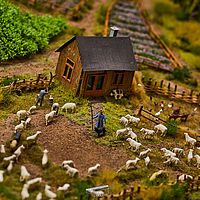 2025-09-17 19-50-09 113055000543