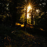 2025-09-04 18-50-09 113055000543 1