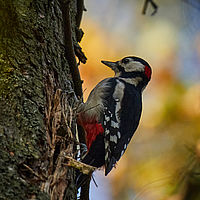 2025-09-05 08-56-10 113055000543 2