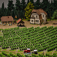 2025-09-17 19-55-00 113055000543