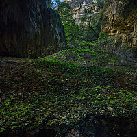 2025-09-16 11-02-41 113055000543 2