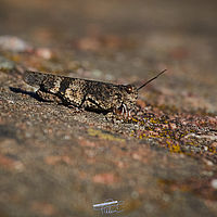 2025-09-16 17-18-58 113055000543