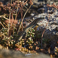 2025-09-16 17-38-48 113055000543