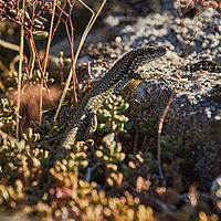 2025-09-16 17-39-17 113055000543